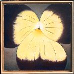 Pense ( huile sur toile  50 cm x 50 cm )